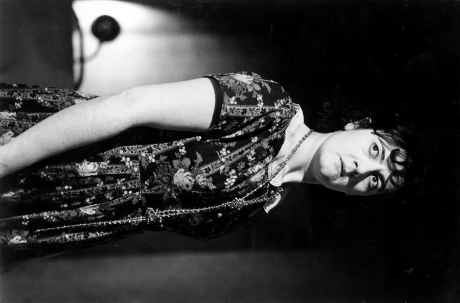 Gli ospiti di Harold Pinter